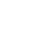 JS 100