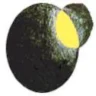 ORBITAL