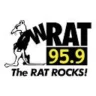 95.9 The Rat