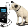 Angel Radio (HQ)