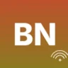 BDS NICE RADIO SVG