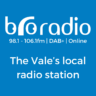 Bro Radio