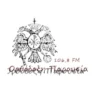 Ορθόδοξη Παρουσία 106.8
