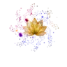Constellations Radio