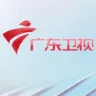 广东卫视伴音