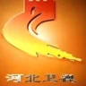 河北卫视伴音