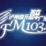 泸州对农经济生活广播
