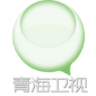 青海卫视伴音
