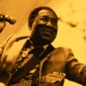 Exclusively Muddy Waters