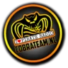 Cobra Team