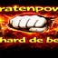 Piratenpower