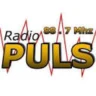 Puls