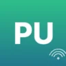 punto7