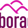 Radio Alborada 106.1