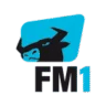 RADIO FM1