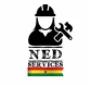 Radio NED