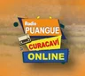Radio puangue