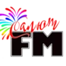 Radio Salyut