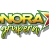 Sonora Grupera 91.7 Ciudad Obregón