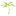 the Oasis Radio Network