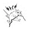 WVCW